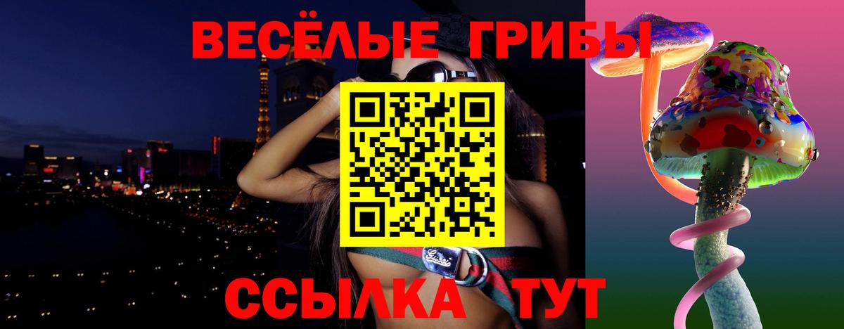 Вольск  Галлюциногенные грибы Psilocybine cubensis  Галлюциногенные грибы Cubensis  Вход с VPN 